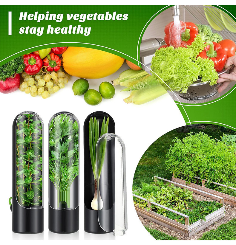 Herb Keeper Bottle - 야채 신선한 보존 병 허브 보호기