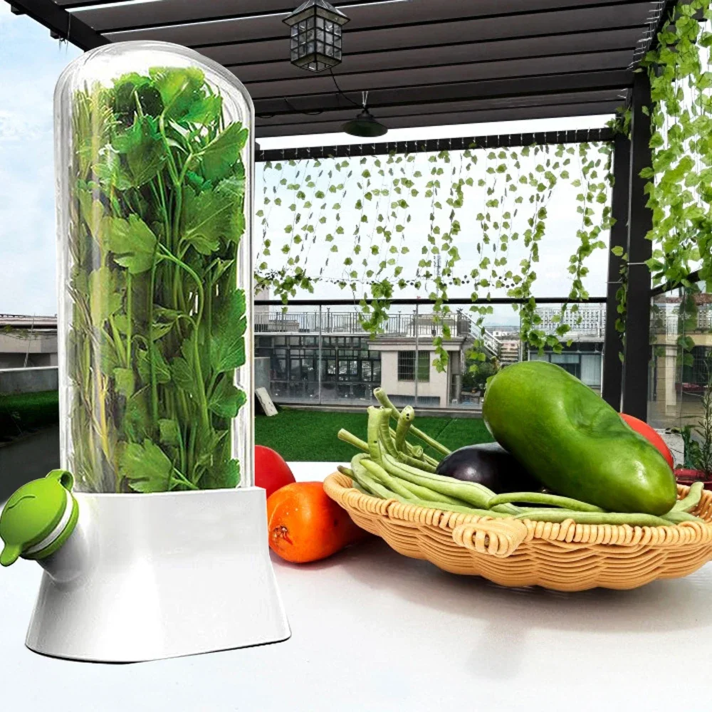 허브 보호기 보관 용기 야채 보존 병 부추 민트 파슬리 - Herb Keeper Bottle 리뷰 및 가격