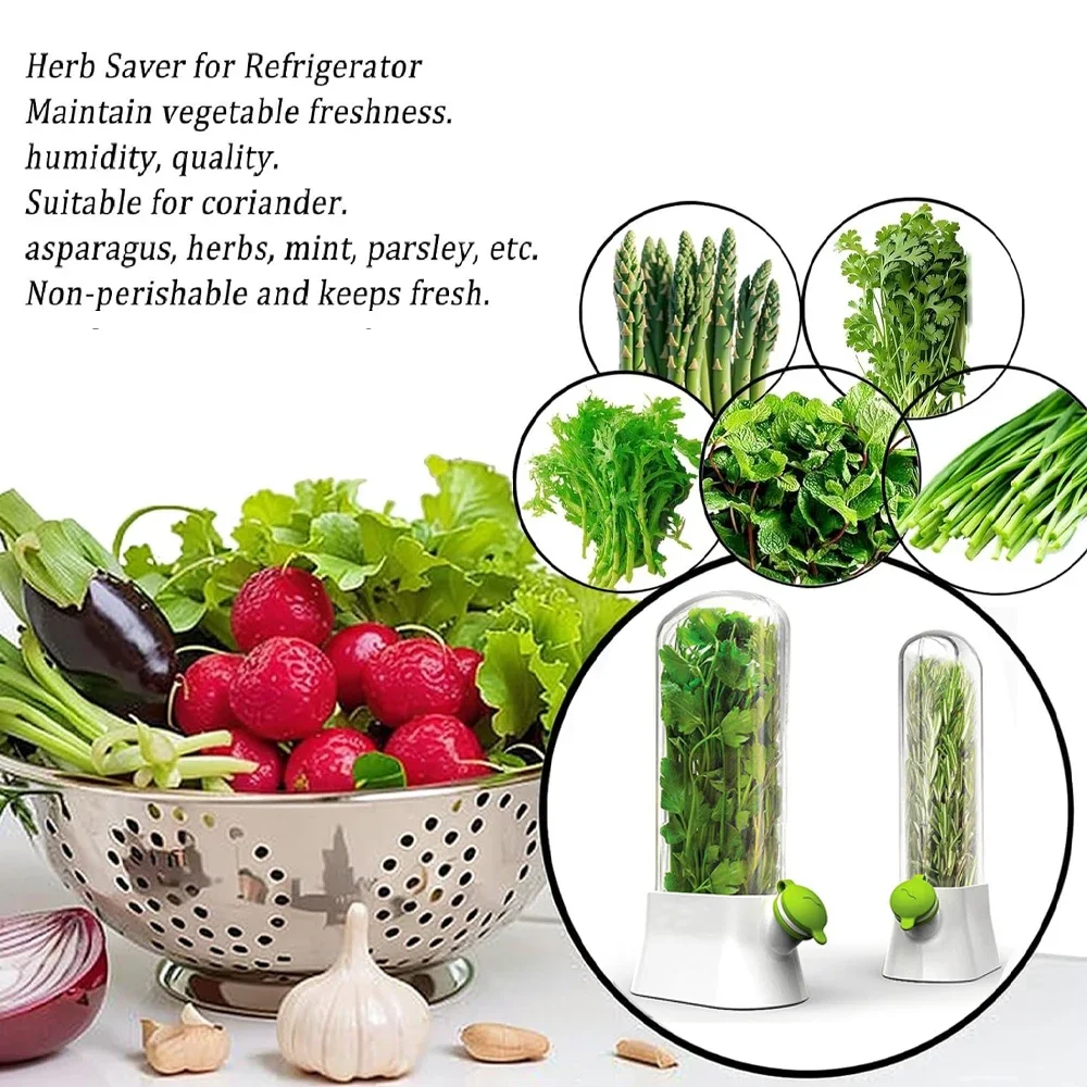허브 보호기 보관 용기 야채 보존 병 부추 민트 파슬리 - Herb Keeper Bottle 리뷰 및 가격