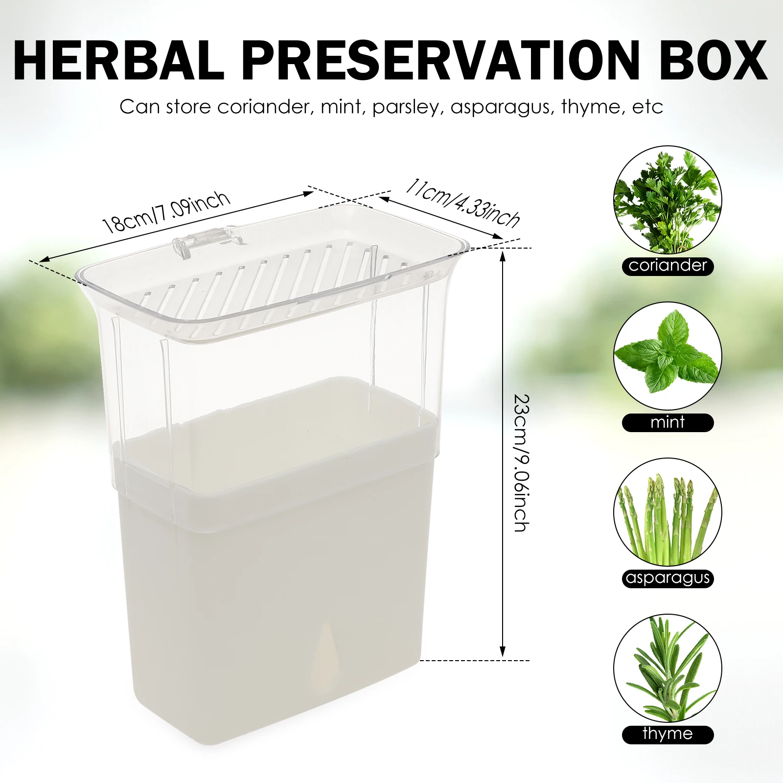 허브 보관 용기, 냉장고용 밀폐형 신선 허브 키퍼, 야 - Herb Keeper Bottle 리뷰 및 가격