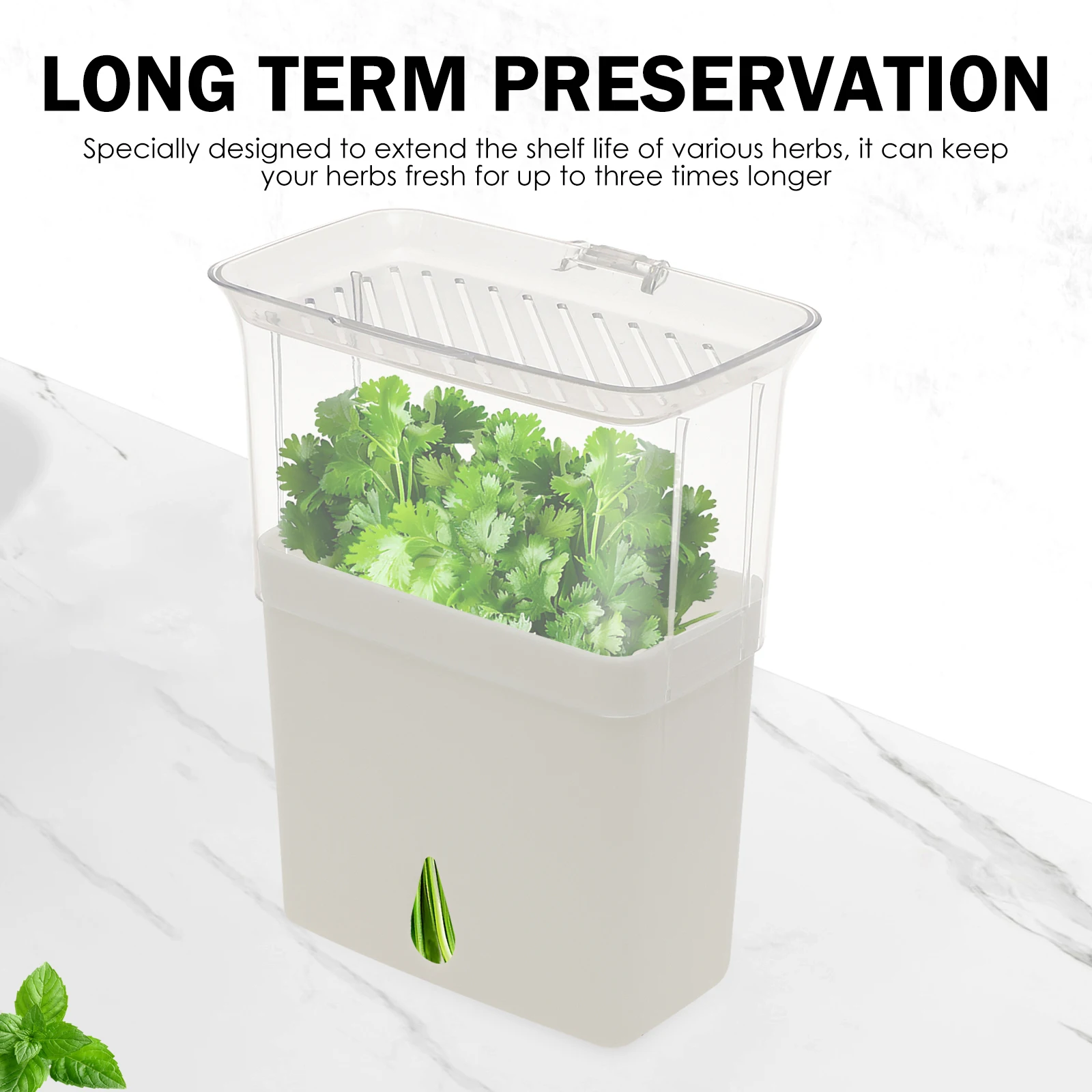 허브 보관 용기, 냉장고용 밀폐형 신선 허브 키퍼, 야 - Herb Keeper Bottle 리뷰 및 가격